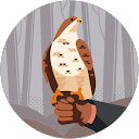 Steve profile picture